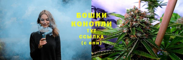 тгк Нефтекумск