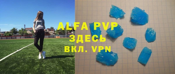 apvp Гусиноозёрск