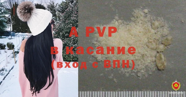 apvp Гусиноозёрск