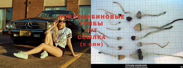тгк Нефтекумск